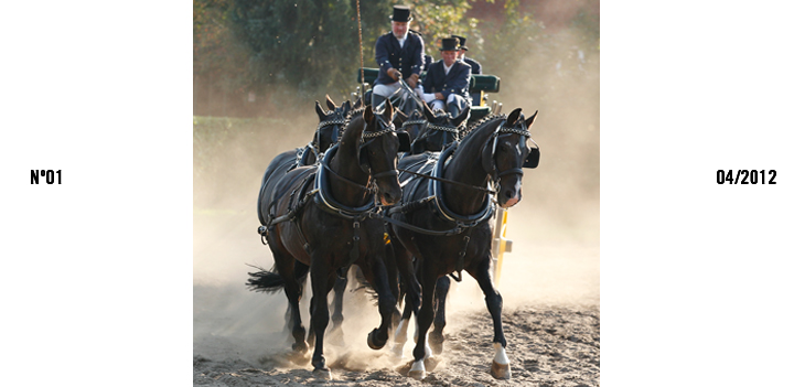 LANDLUFT, das Wendland Magazin