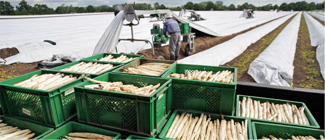 Photo Der Himmel spiegelt sich in einem See