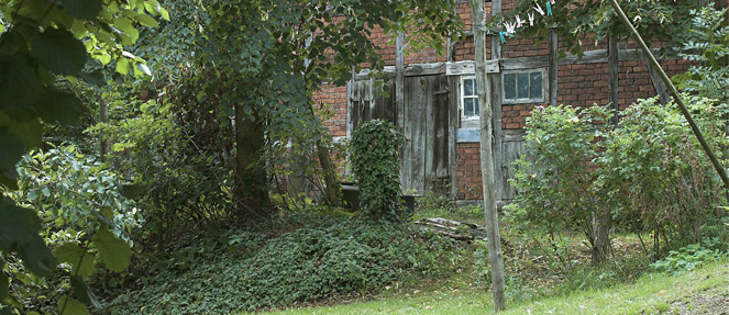 Photo Fachwerkhaus hinter verwachsenem Garten